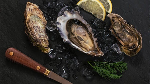 Gigas Oysters on slate