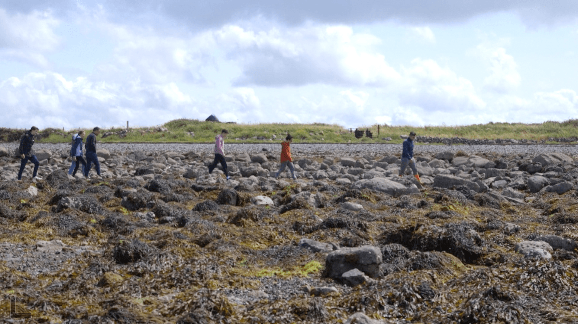 Kelly Oyster Group Farm Walk