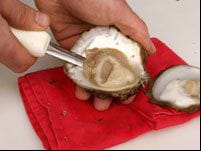 Opening an Irish Oyster