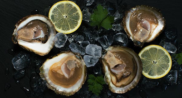Wild Native Oyster